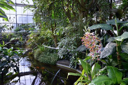 botanicka-zahrada-uk-praha-venkovni-a-sklenikova-expozice